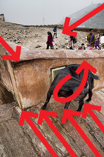 jaipurweightdirection